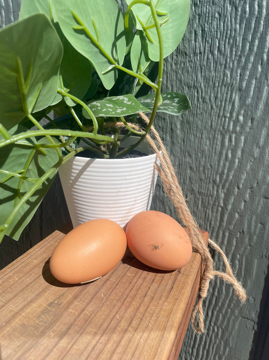 Bielefelder hatching eggs (per dozen)