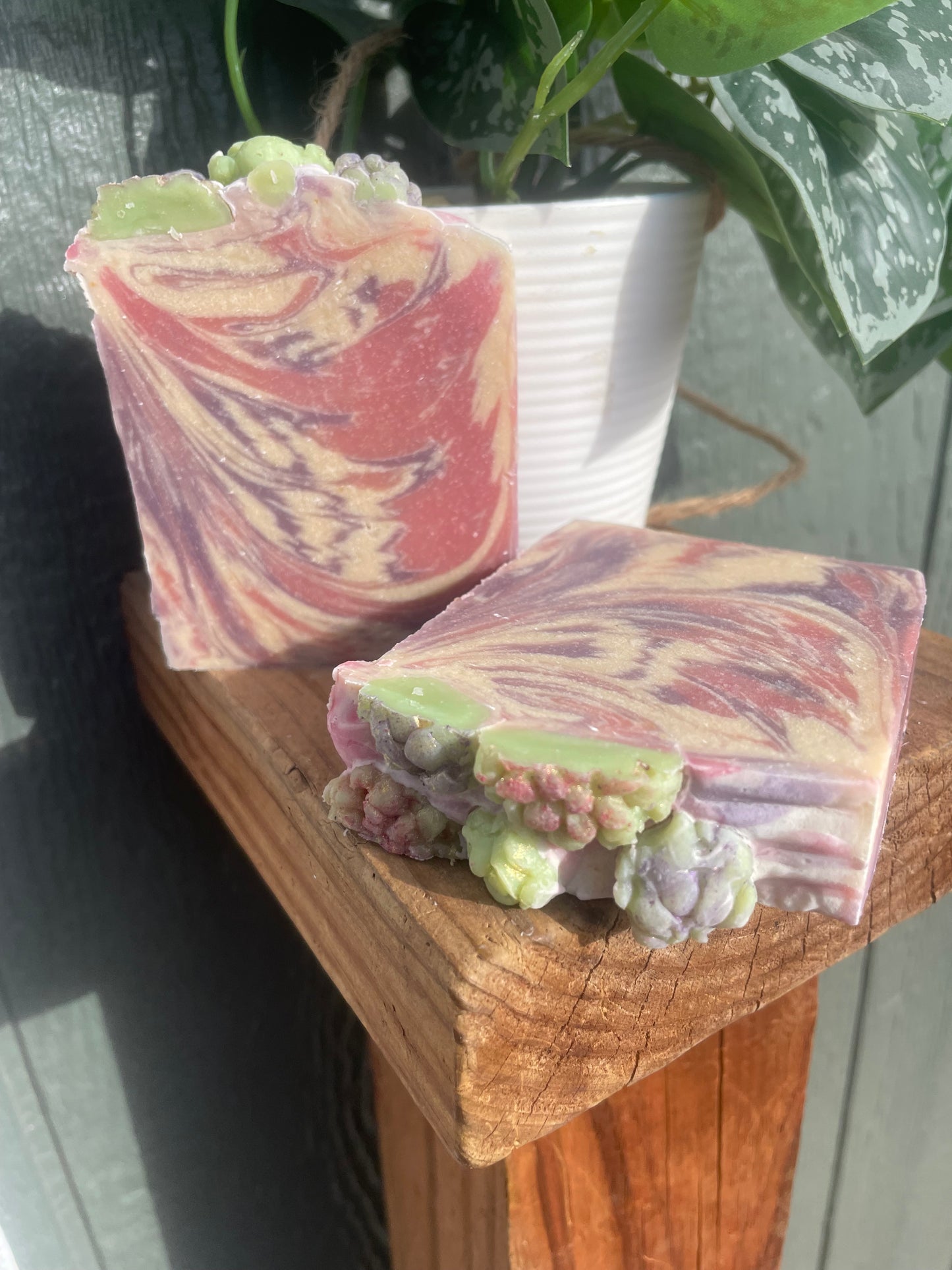 Cactus garden goat’s milk soap