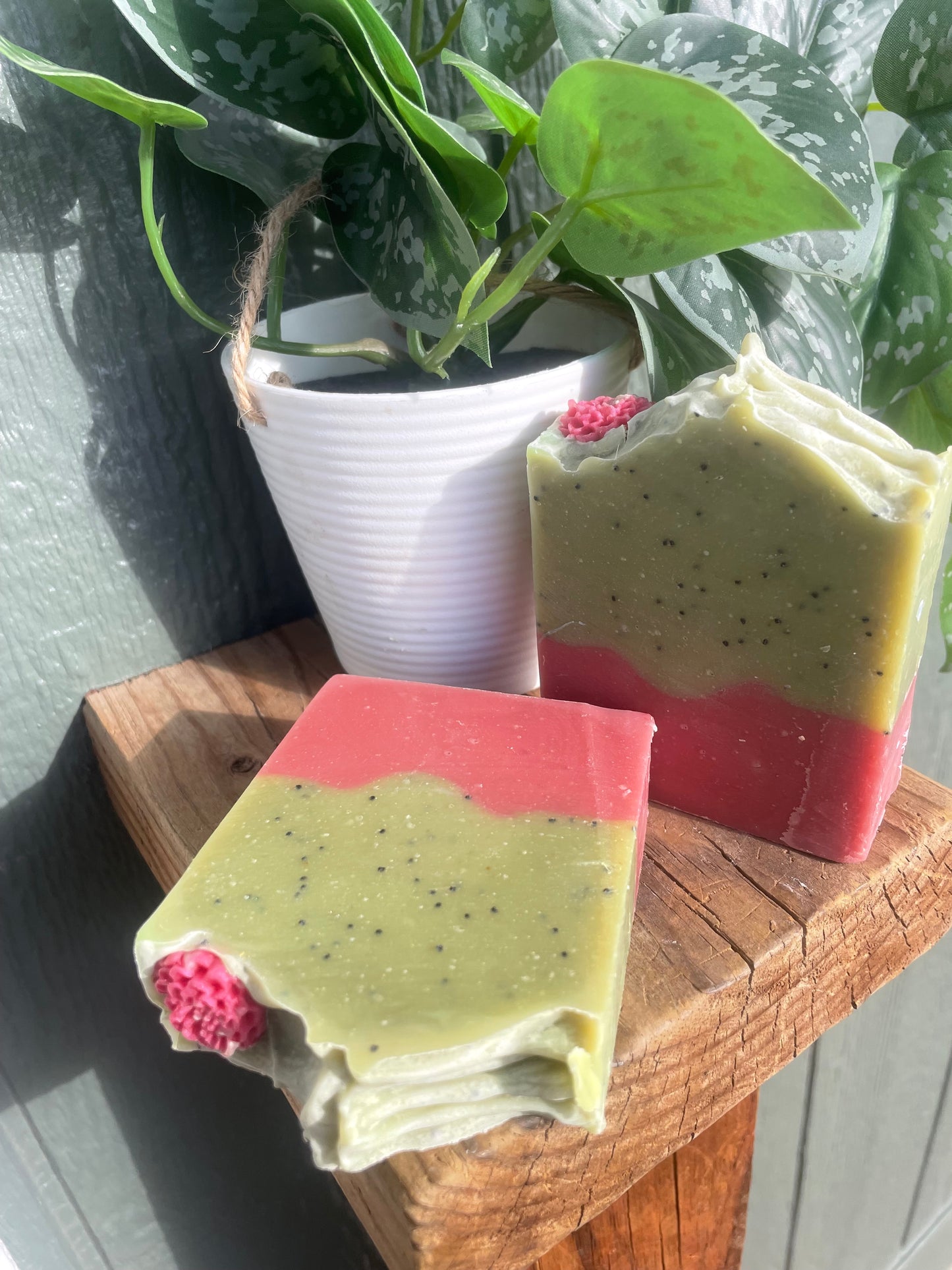 Agave bloom goat’s milk soap