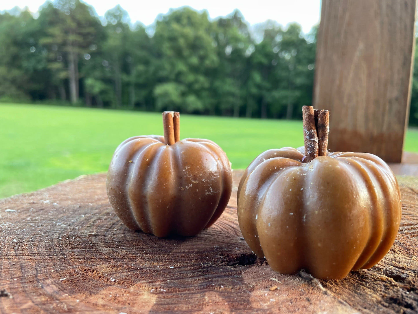 Pumpkin Goat’s milk soap