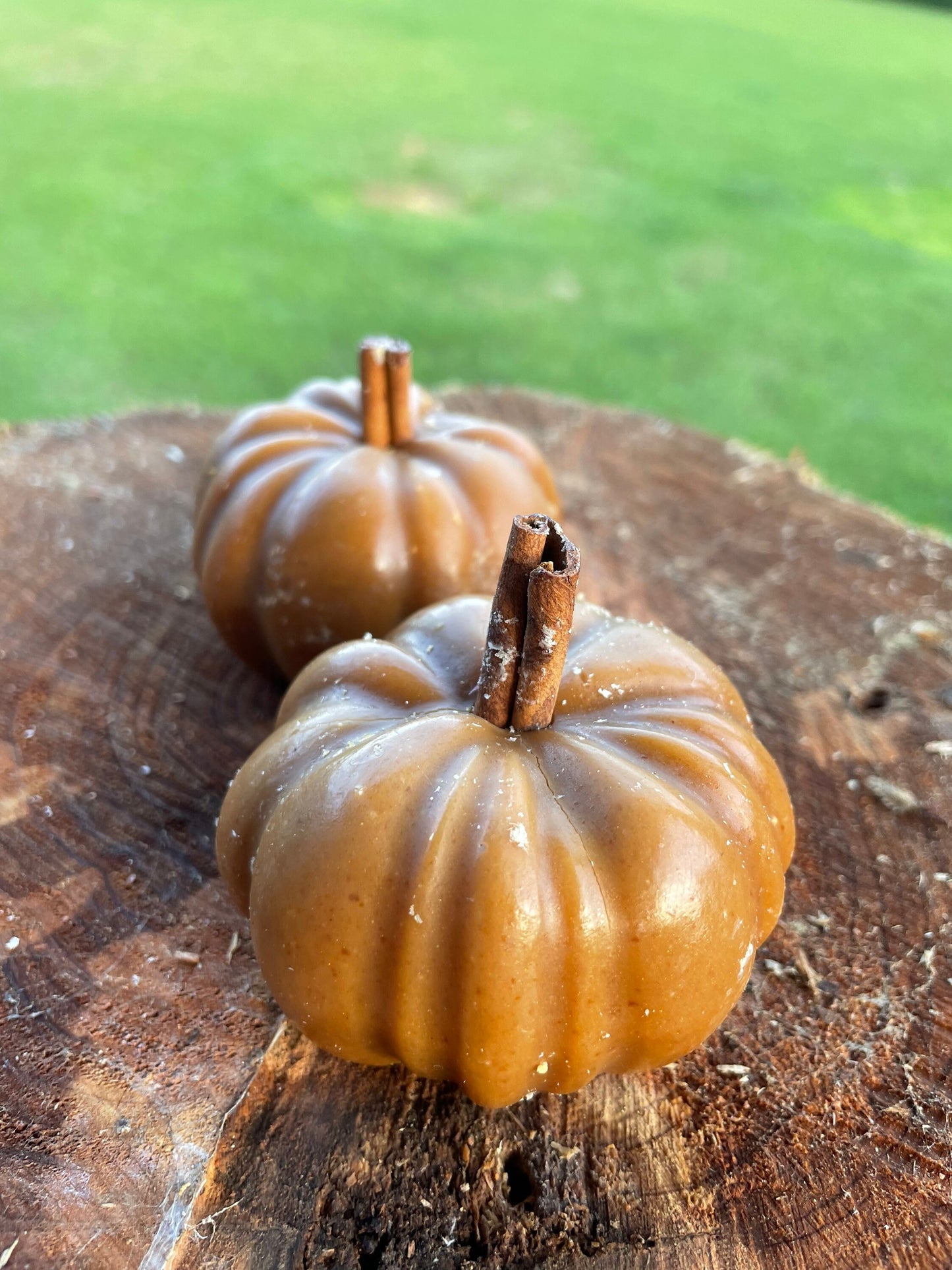 Pumpkin Goat’s milk soap