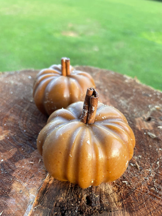 Pumpkin Goat’s milk soap