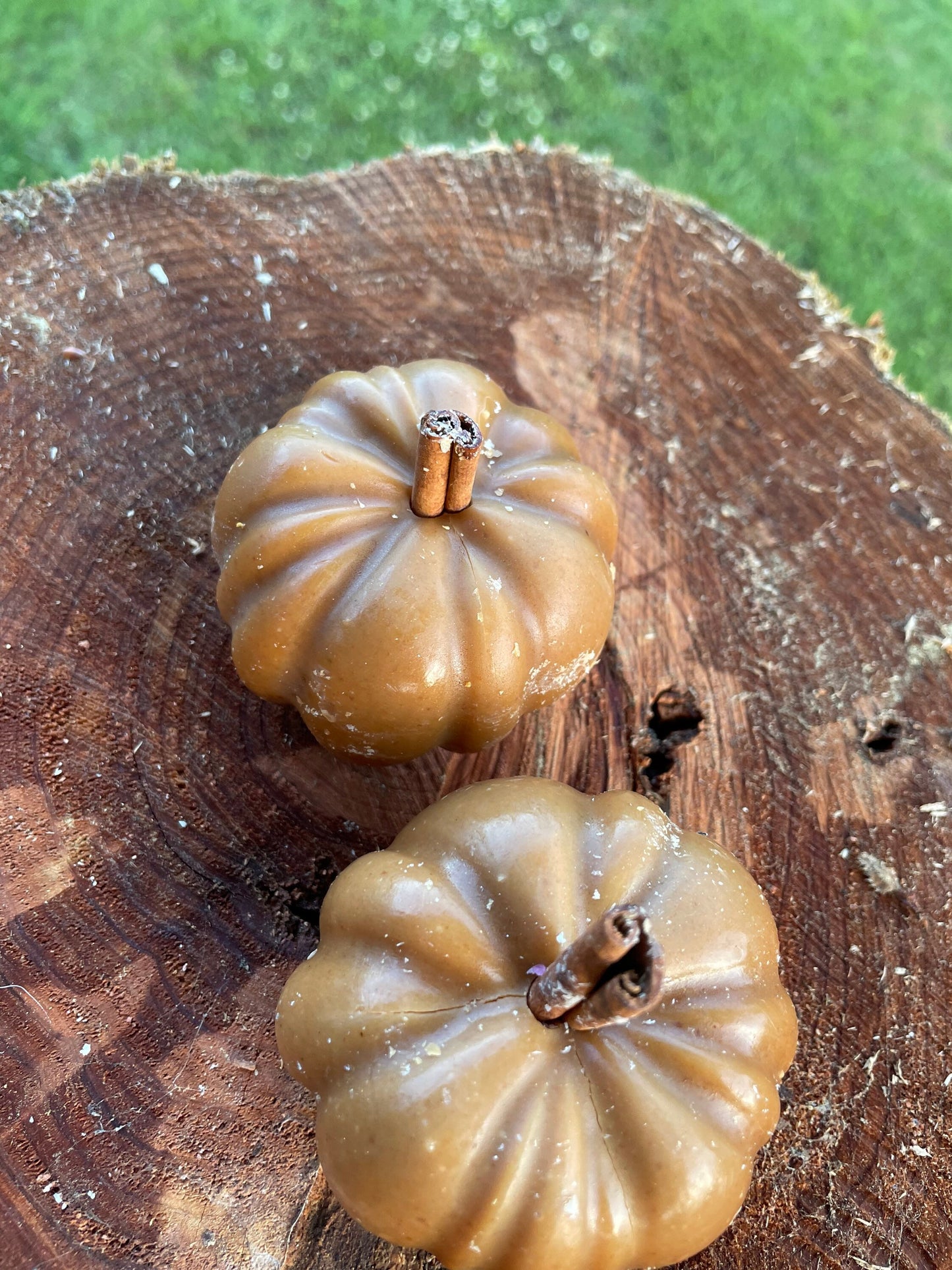 Pumpkin Goat’s milk soap